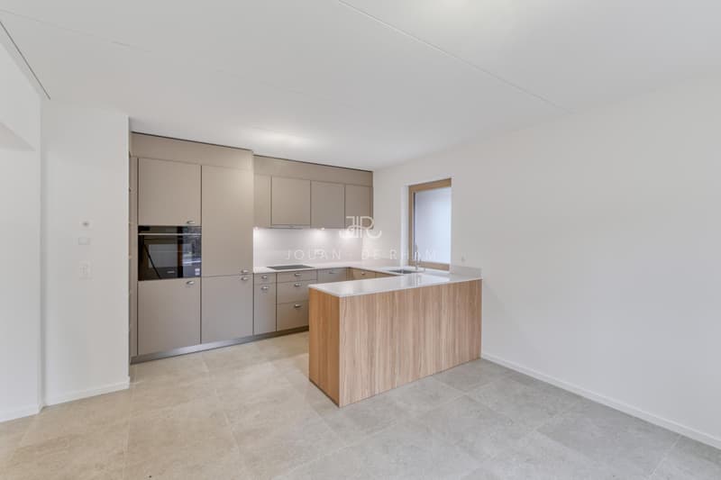 Puplinge - Magnifique maison villageoise rénovée (3)