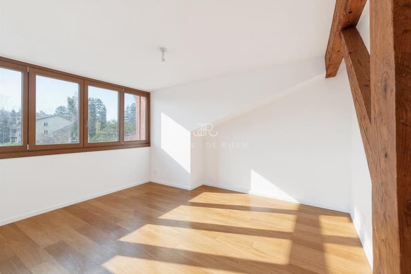 Puplinge - Magnifique maison villageoise rénovée (7)