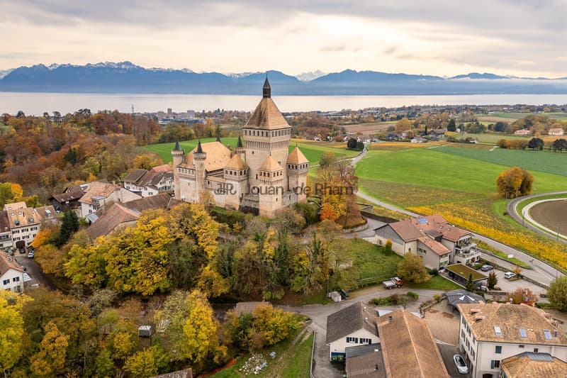 Vufflens-le-Château | Magnifique villa vaudoise rénovée avec vue dégagée (3)