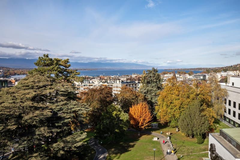 Malagnou | Spacieux appartement rénové au coeur de Genève (13)
