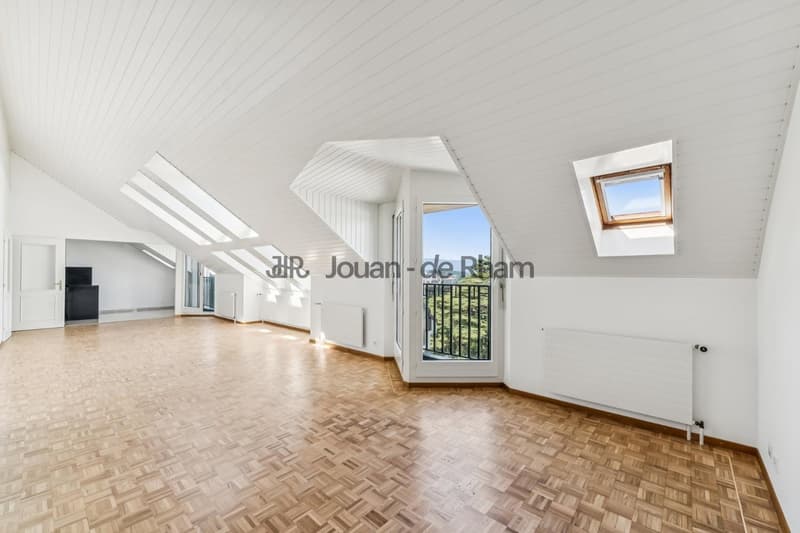 Malagnou | Spacieux appartement rénové au coeur de Genève (5)