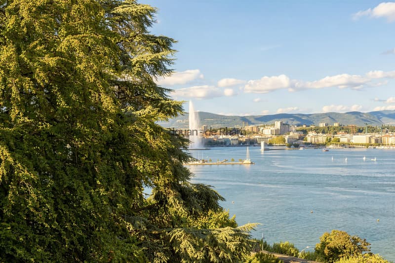 Magnifique appartement de prestige face au lac (1)