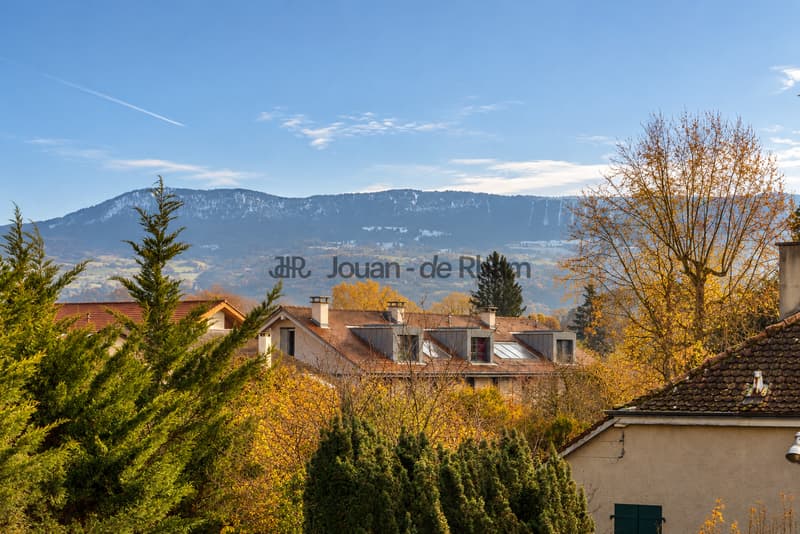 Puplinge - Magnifique maison villageoise rénovée (12)