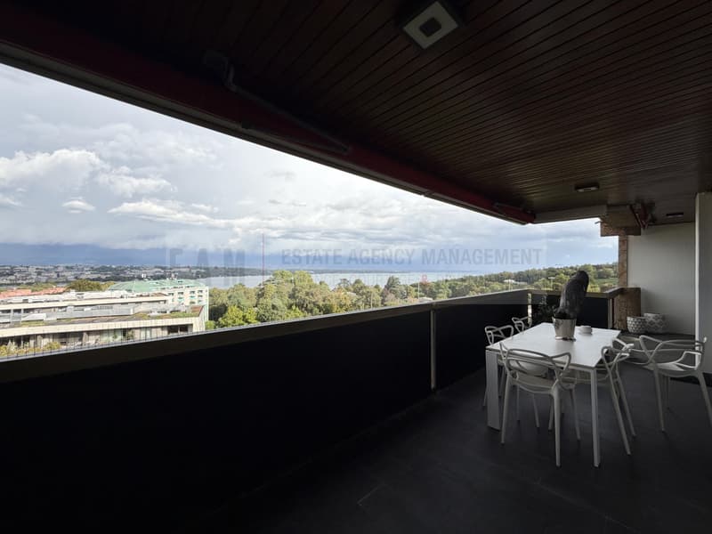 Cologny Parc : Objet rare dans résidence de standing avec piscine (2)