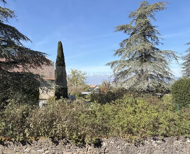 Charmante maison villageoise (10)