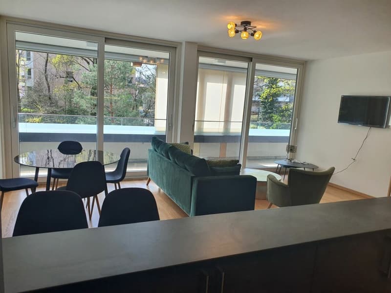 Two apartments in Florissant (4)