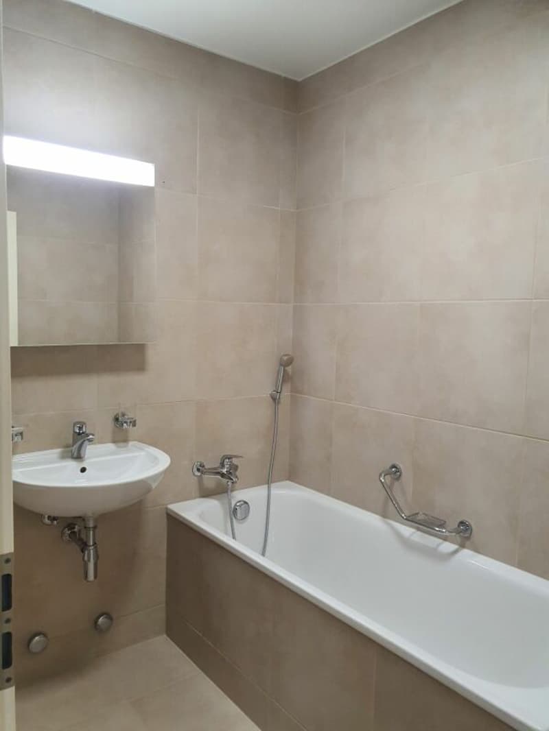 Two apartments in Florissant (5)