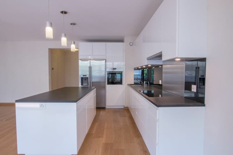 Set of two 4-room apartments in Champel (3)