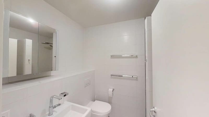Beautiful 5-room apartment with large 40m2 balcony (10)