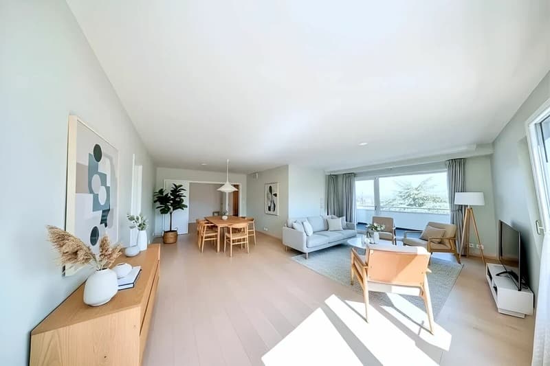 Appartement de 6 pièces avec belle vue sur le lac (1)