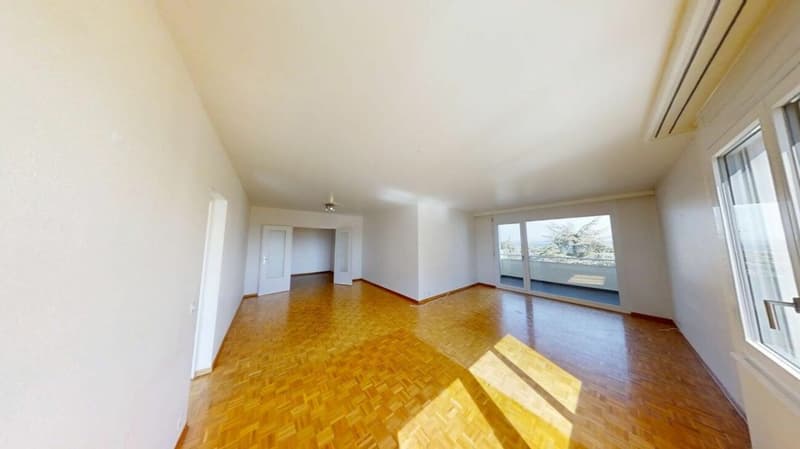 Appartement de 6 pièces avec belle vue sur le lac (3)