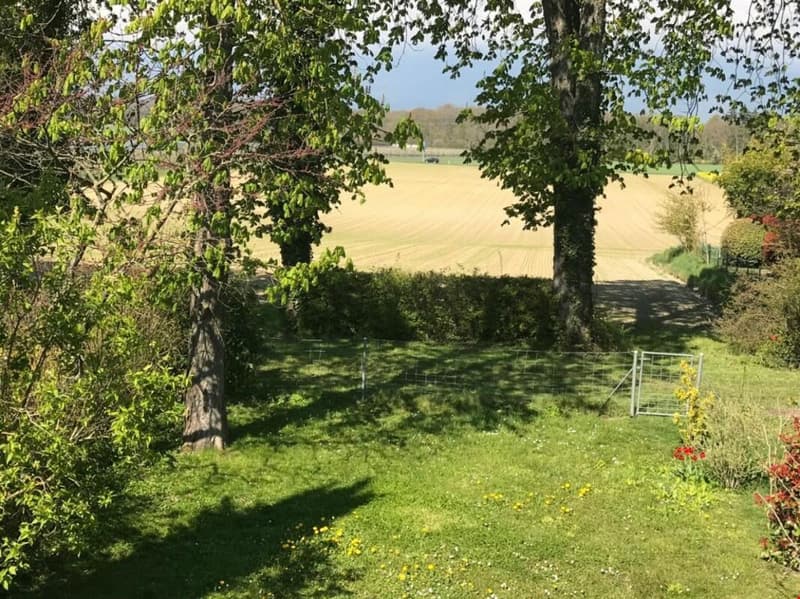 Bella camera ristrutturata in affitto in una villa (2)