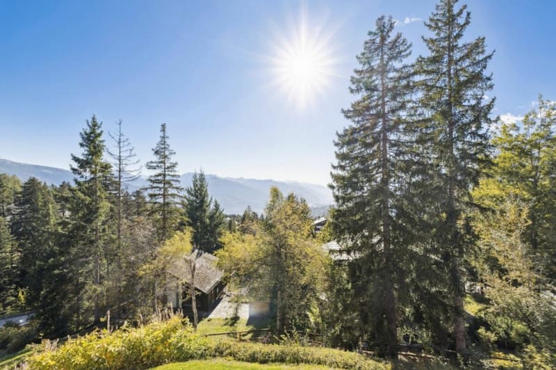 Chalet avec piscine intérieur à Crans-Montana (3)