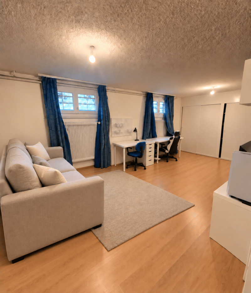 Villa familiale Grand-Lancy (3)