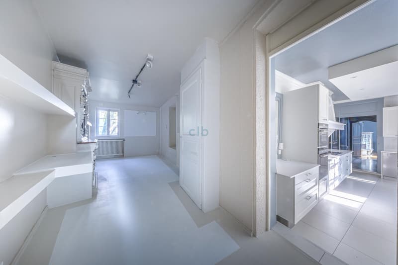 Magnificent villa (8)