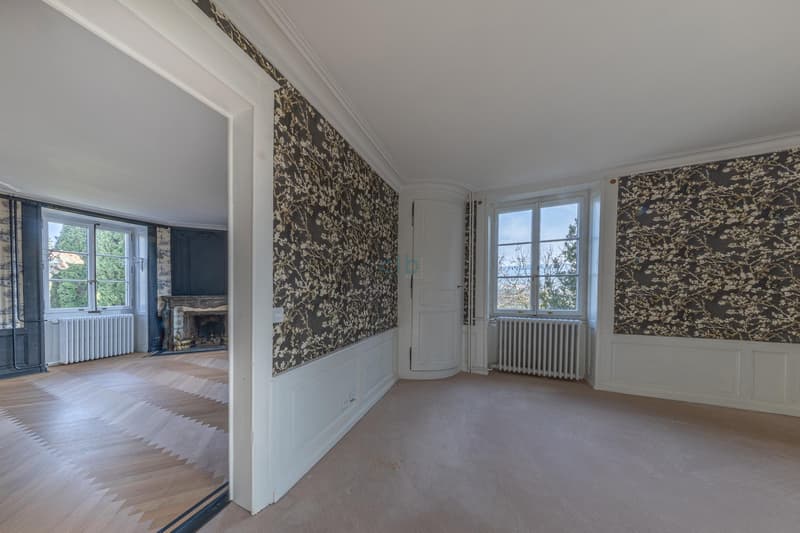 Magnificent villa (10)