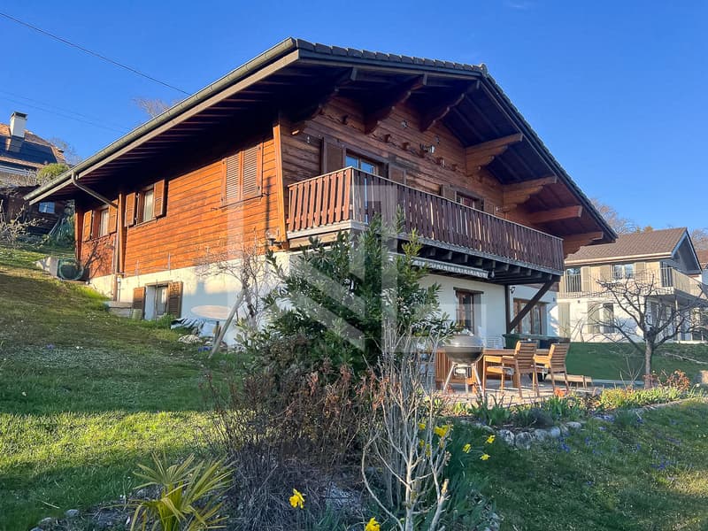 Charming chalet with a view - sought-after neighborhood (6)