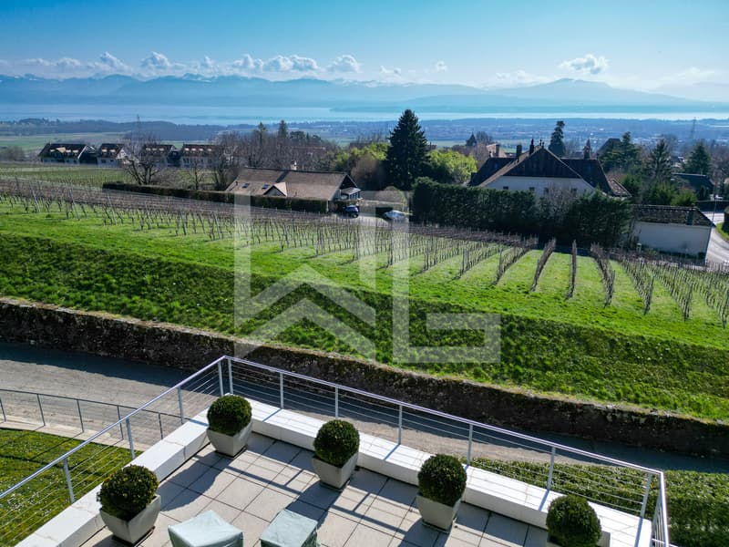 Contemporary exceptional villa with spectacular panoramic views of the lake (2)