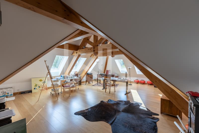 Elegant discreet property by the lake, close to Rolle city center (8)