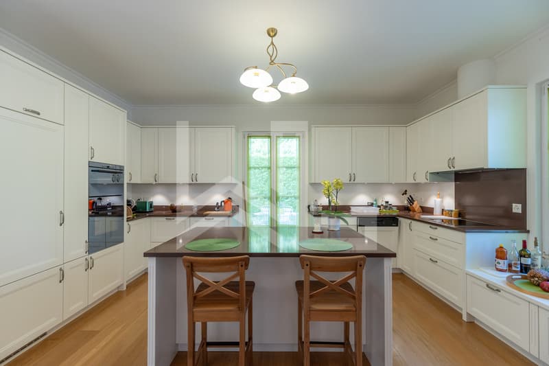 Elegant discreet property by the lake, close to Rolle city center (6)