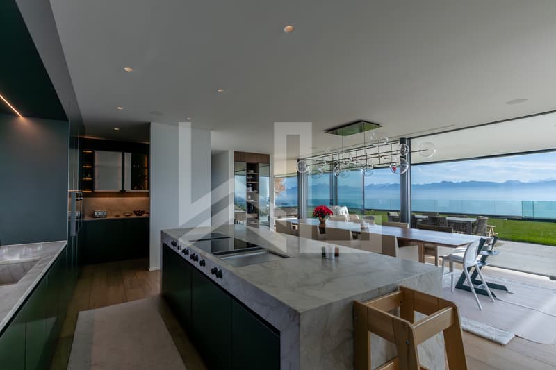 Luxury contemporary architect's villa with panoramic view (5)