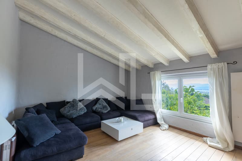 Great potential for this property with lake view (9)