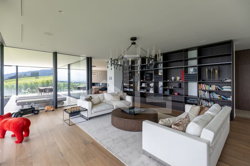 Villa di lusso contemporanea dell'architetto con vista panoramica (4)