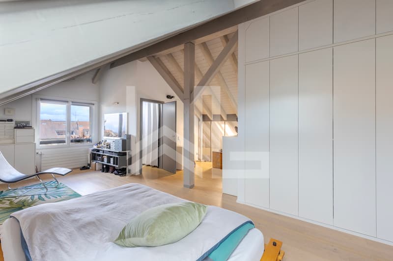 Superbe duplex entièrement rénové (7)