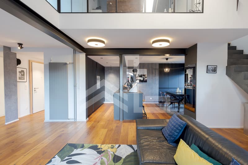 Superbe duplex entièrement rénové (4)