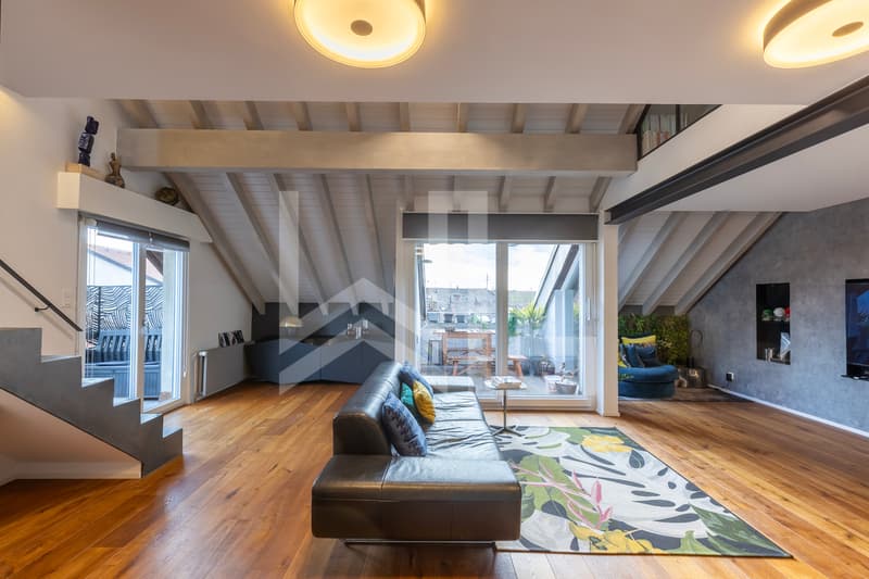 Superbe duplex entièrement rénové (6)