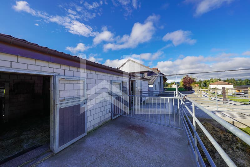 Magnifique propriété équestre composée de 3 logements (5)