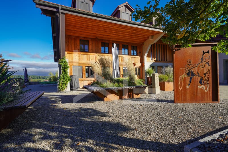 Magnifique propriété équestre composée de 3 logements (2)