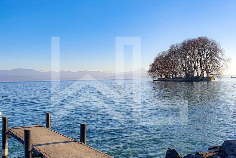Propriété d'exception au bord du lac à deux pas du centre de Rolle (1)