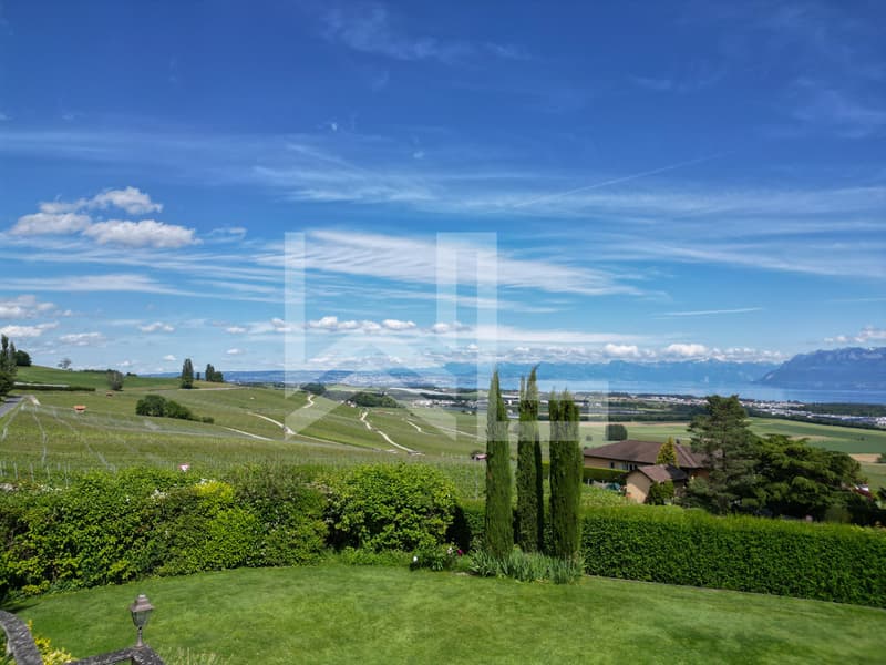 Villa avec vue imprenable sur la Côte, le Lac et les Alpes (3)