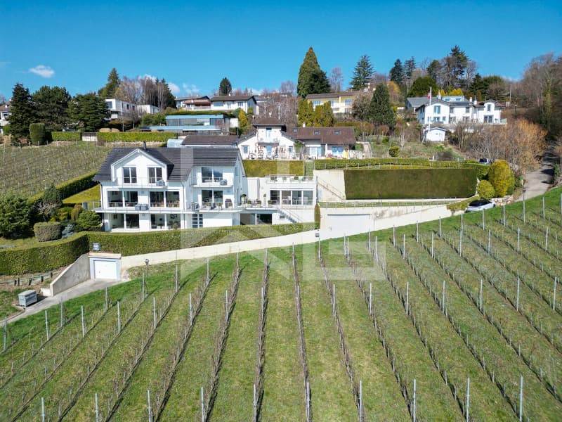 Villa contemporaine d'exception avec panorama spectaculaire sur le lac (1)