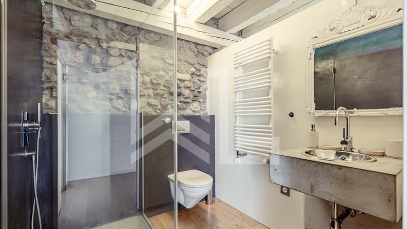 UNE PROPRIÉTÉ AU CARACTÈRE ARCHITECTURAL UNIQUE (12)