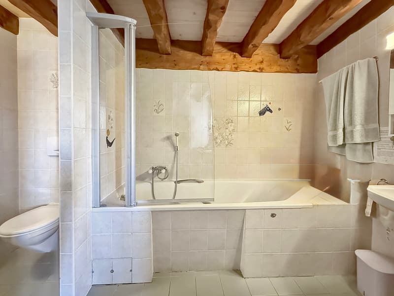 Authentic village house with private garden on the edge of an agricultural area (6)