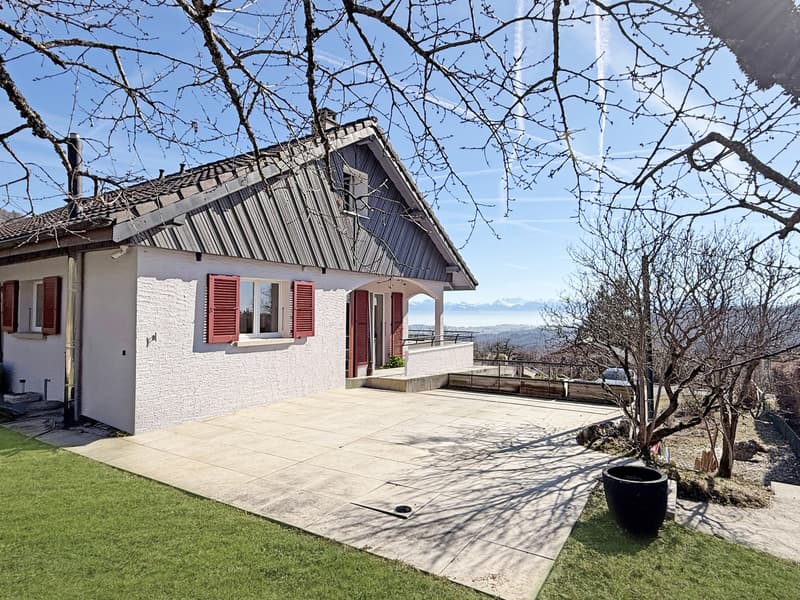 Terrasse au rez supérieur