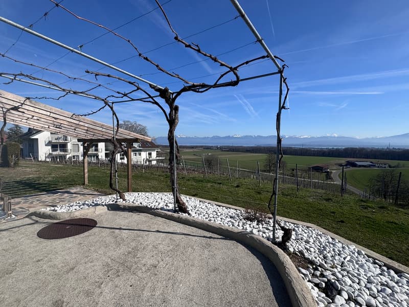 Charmante maison individuelle de 5 pièces à Coinsins avec grand jardin privatif (21)