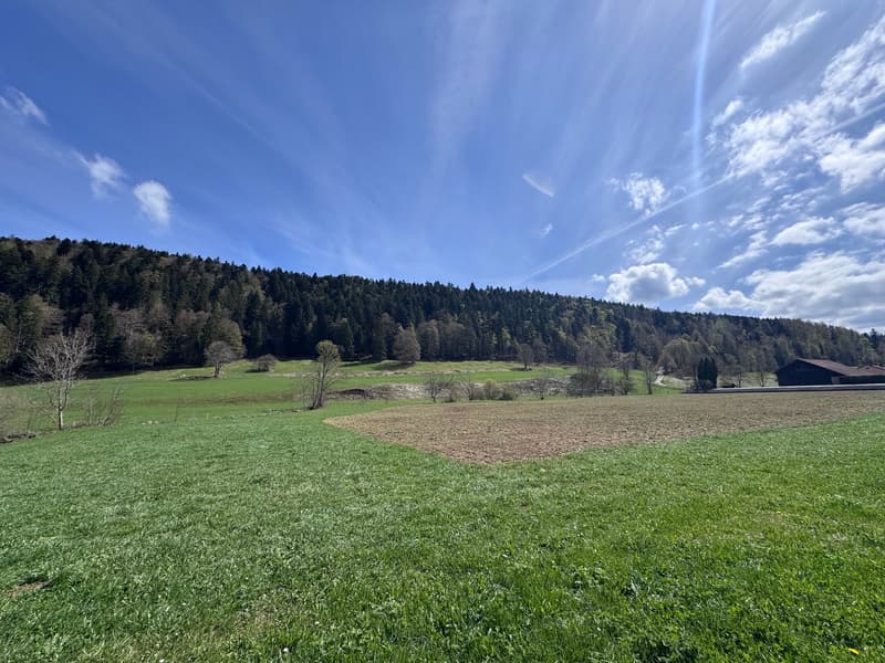 green field, trees, mountains, blue sky, clouds