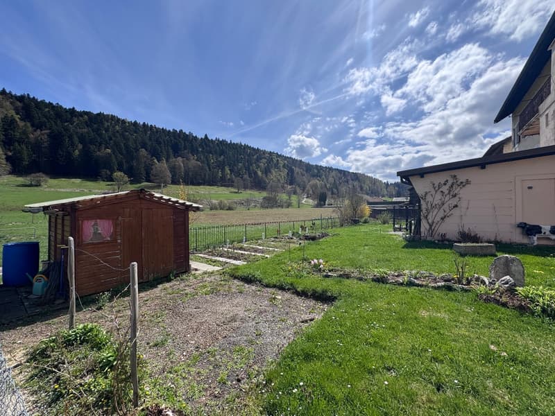 Garden with a wooden shed, a blue barrel, a small garden, a fence, and a house in the background.