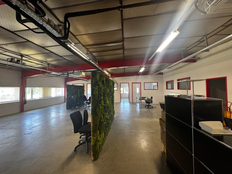 Spacieux bureaux de 194m2 au chemin du Bief à Lonay (6)