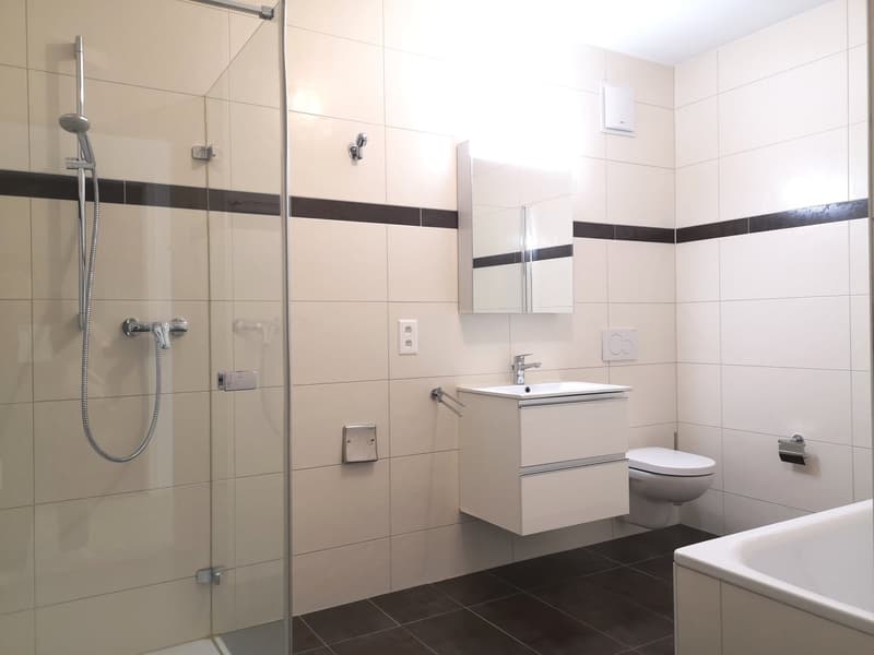 Ampio appartamento duplex di 5.5 locali con vista panoramica a Blonay (10)