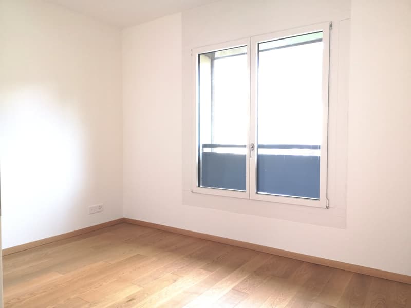 Ampio appartamento duplex di 5.5 locali con vista panoramica a Blonay (2)