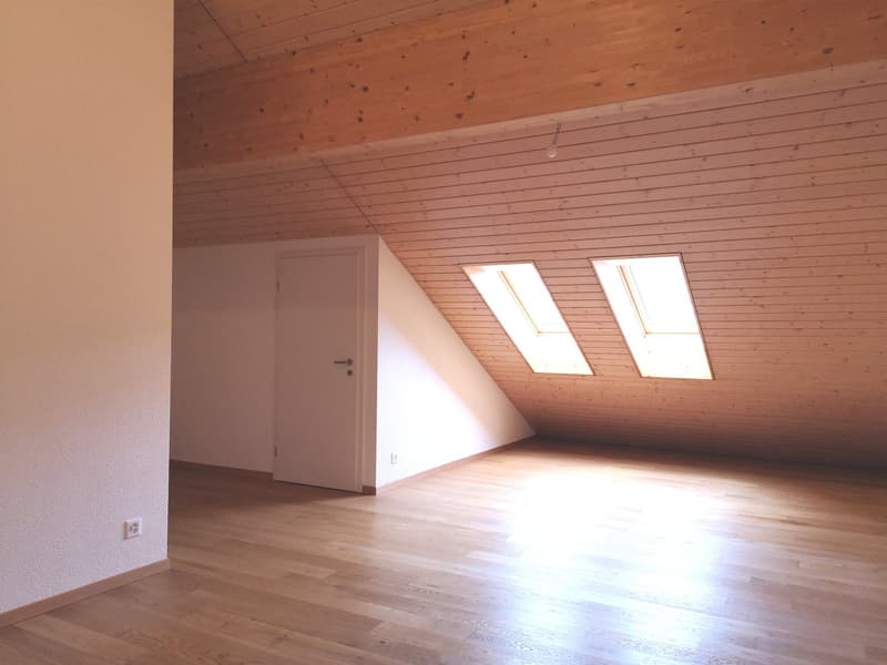 Ampio appartamento duplex di 5.5 locali con vista panoramica a Blonay (5)