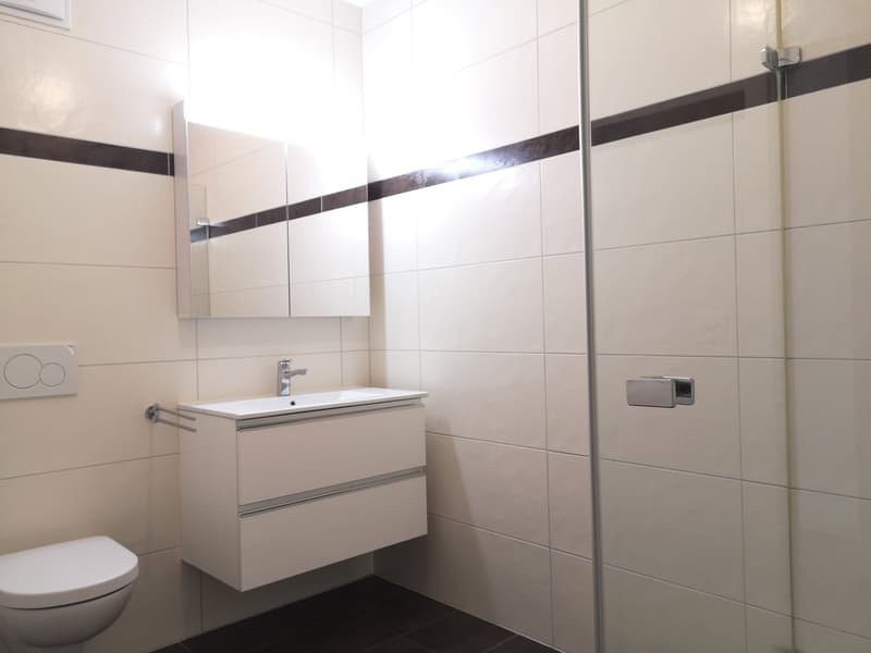 Ampio appartamento duplex di 5.5 locali con vista panoramica a Blonay (11)