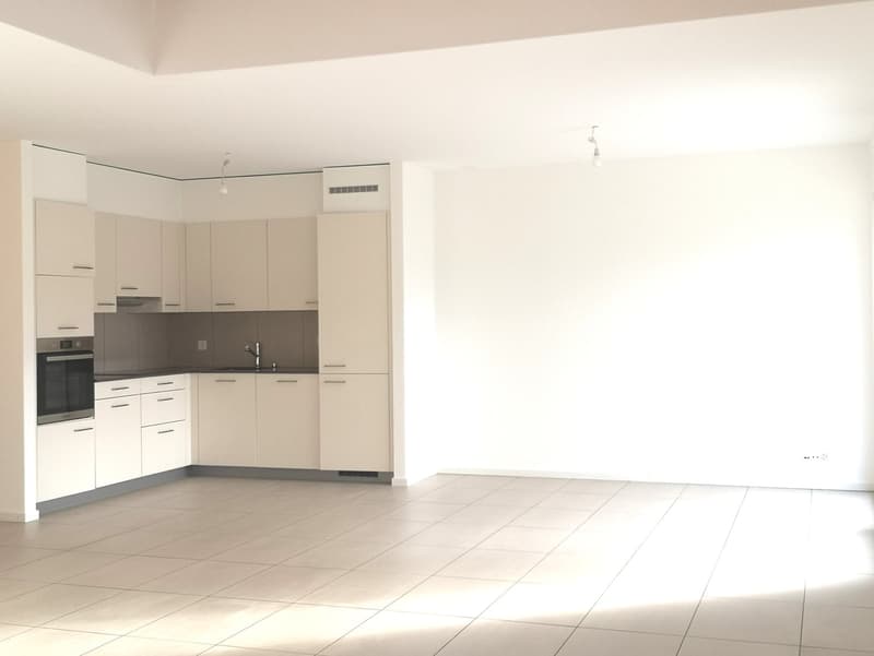 Ampio appartamento duplex di 5.5 locali con vista panoramica a Blonay (6)