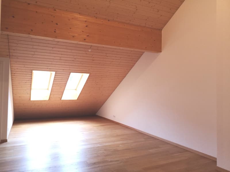 Ampio appartamento duplex di 5.5 locali con vista panoramica a Blonay (4)
