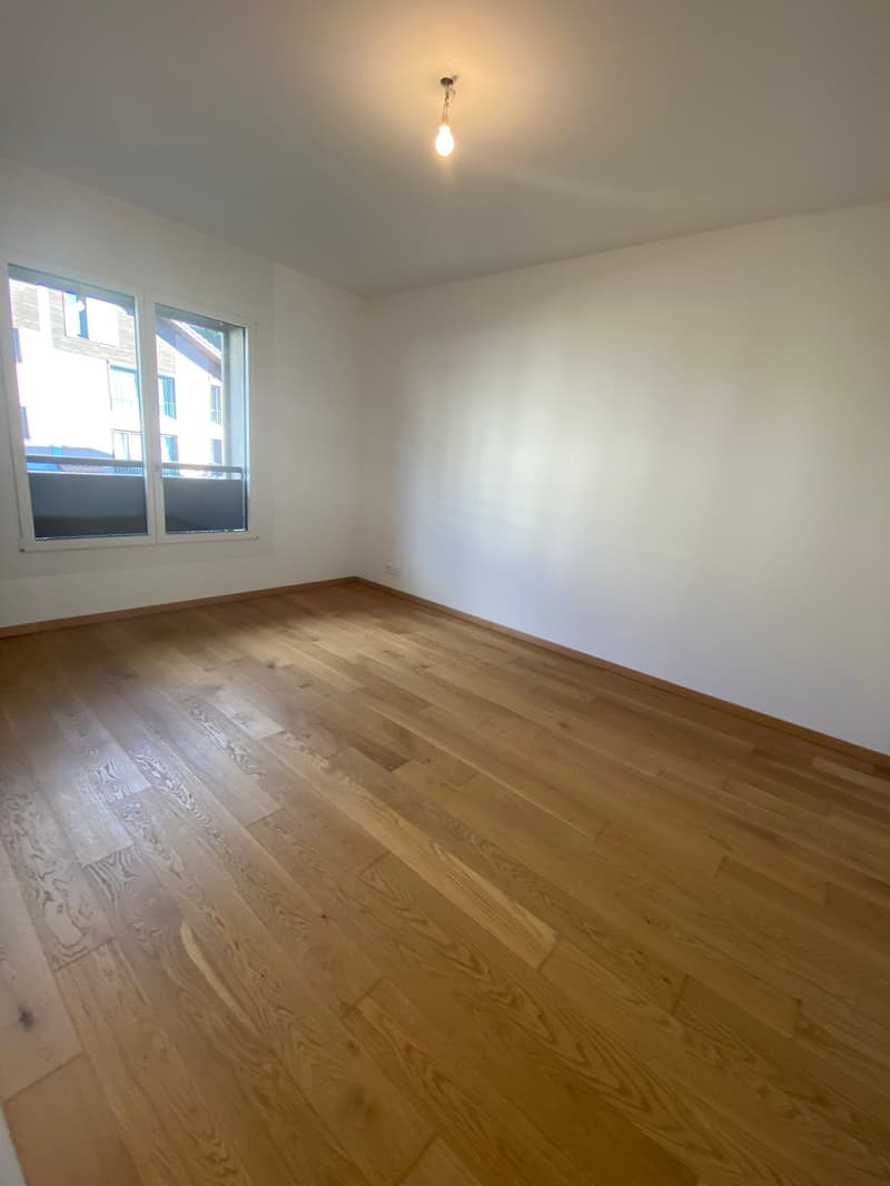 Ampio appartamento duplex di 5.5 locali con vista panoramica a Blonay (13)