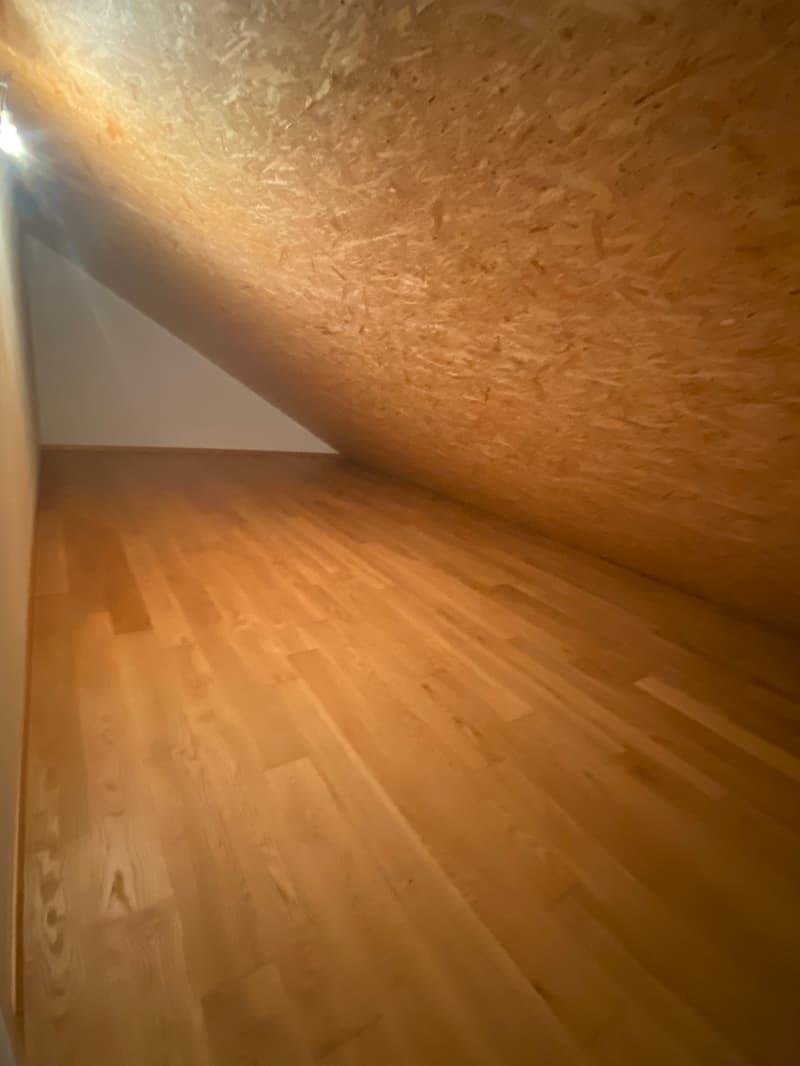 Ampio appartamento duplex di 5.5 locali con vista panoramica a Blonay (24)